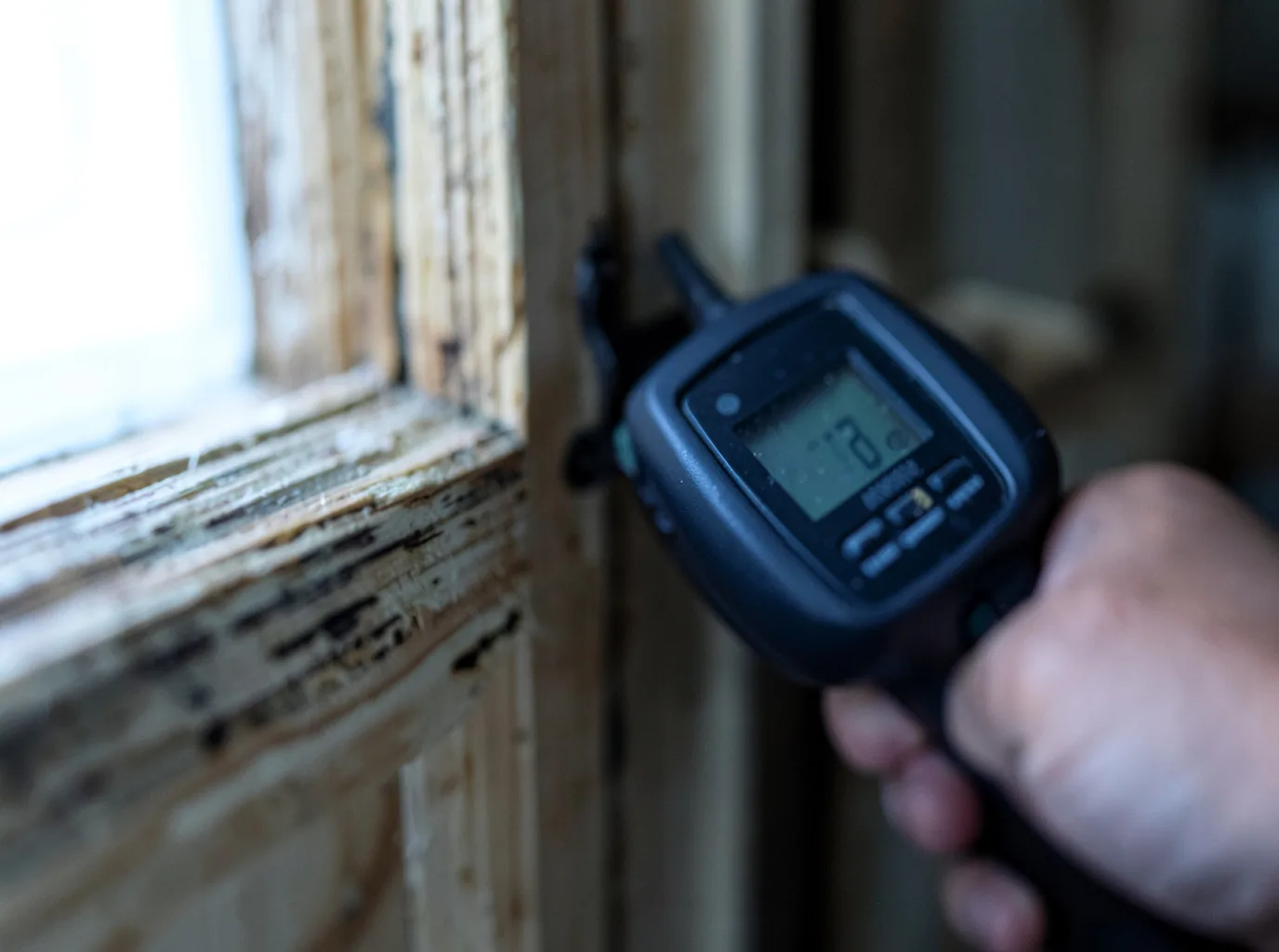 Moisture Inspection And Documentation in Turbeville, SC